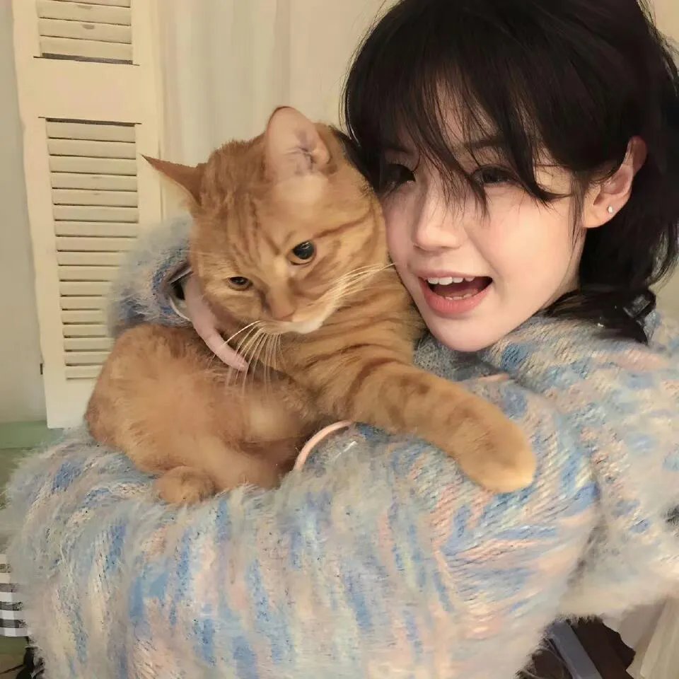 神威三猛龙