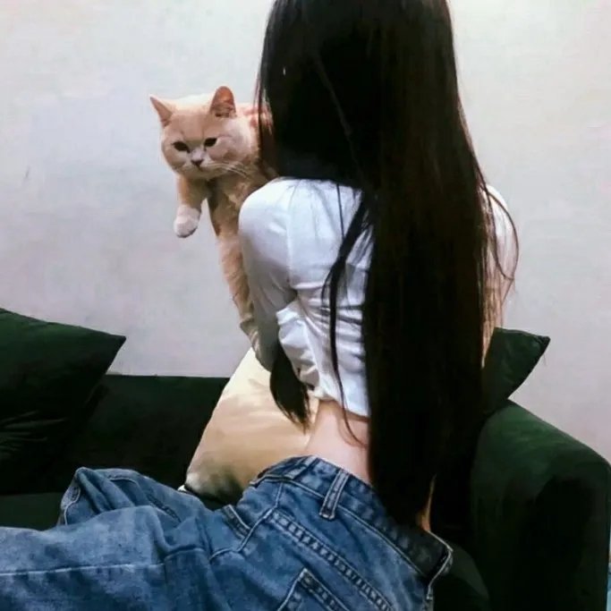 加菲猫：农场大冒险